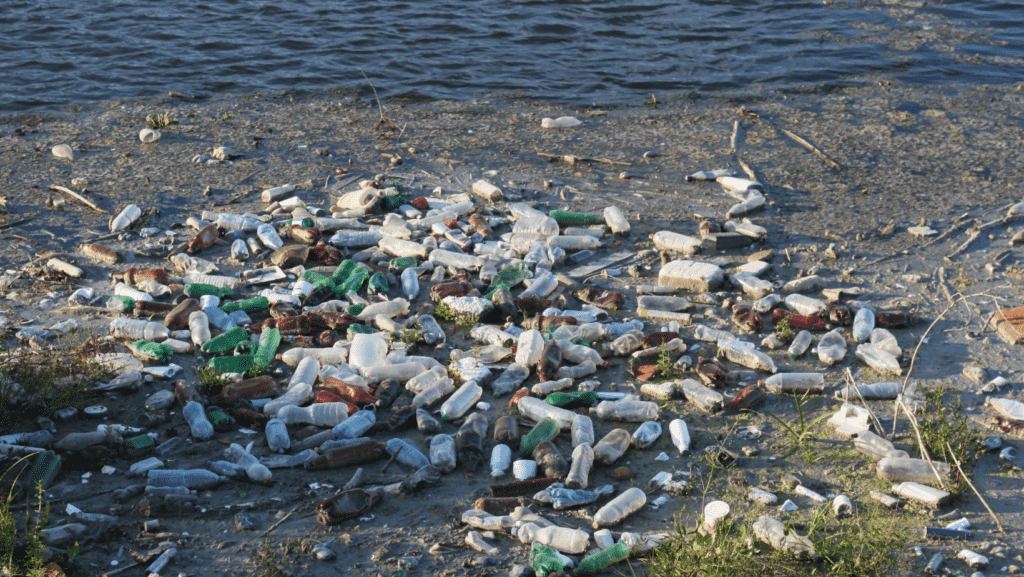 Design-ohne-Titel38234