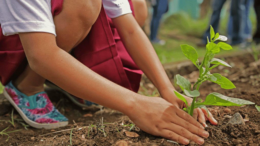 Design-ohne-Titel40234