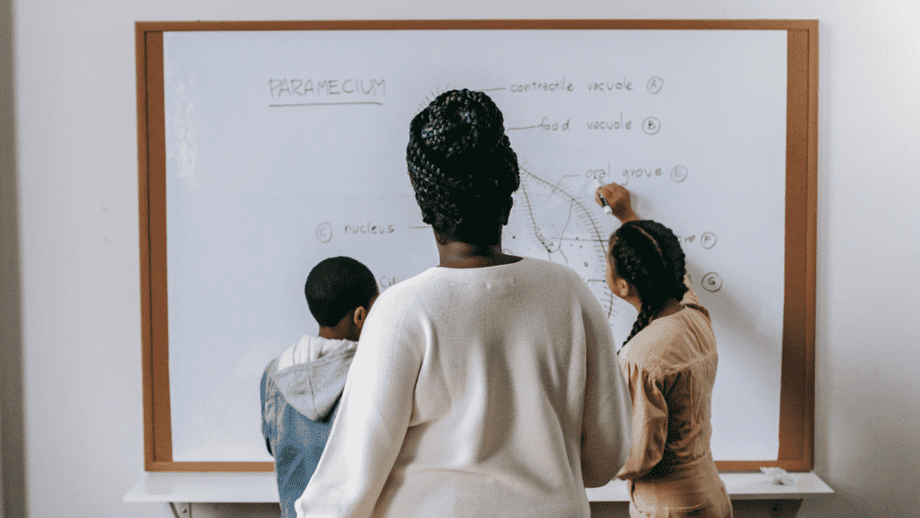 Design-ohne-Titel42453